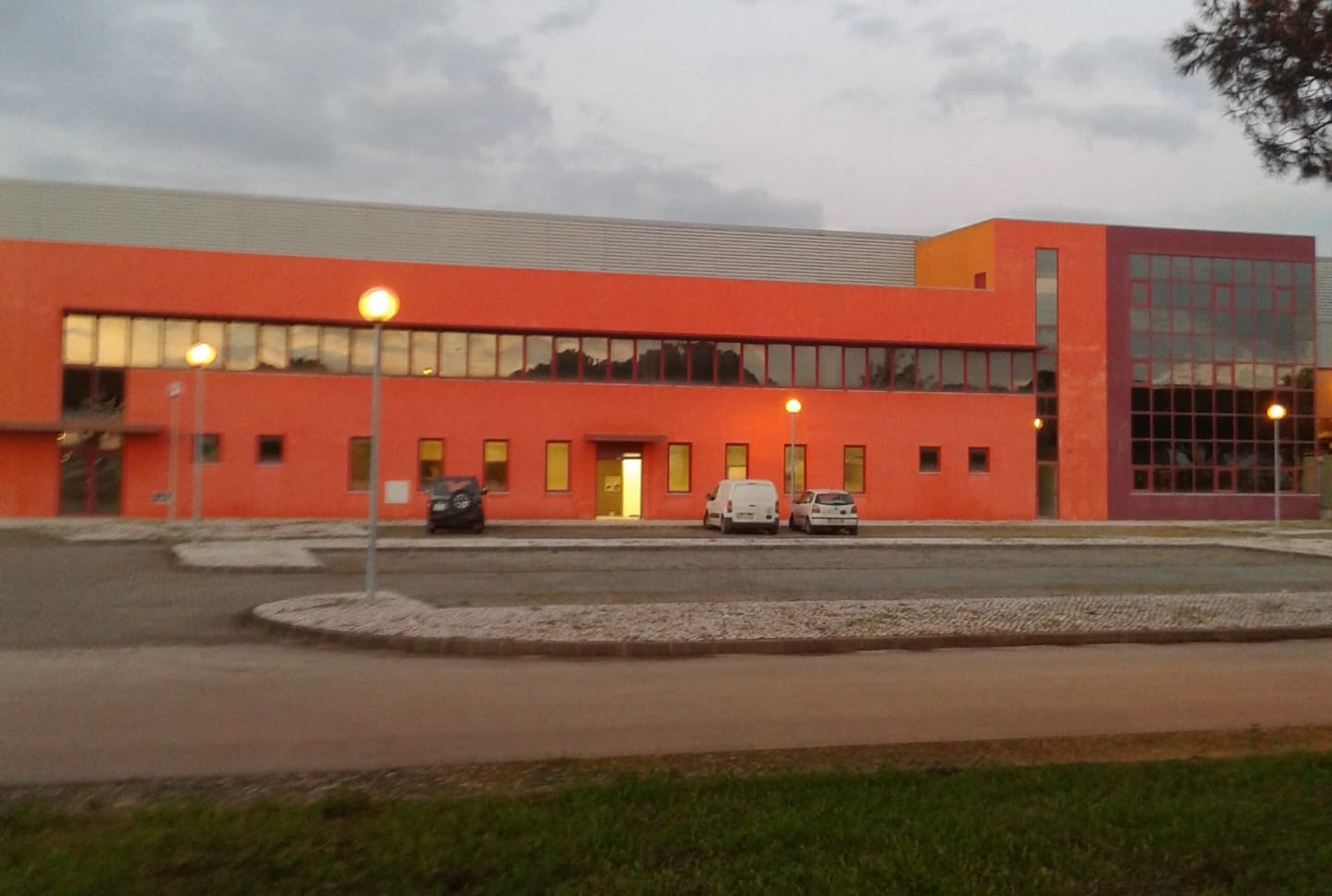 Sede